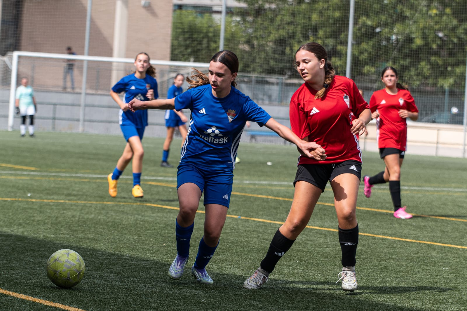 Infantil Femenino B · Pretemporada — 13